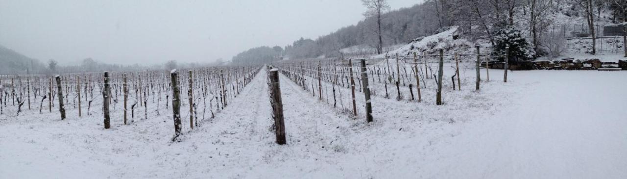 Borgo Di Corte - Alloggio Agrituristico Prestento Eksteriør billede